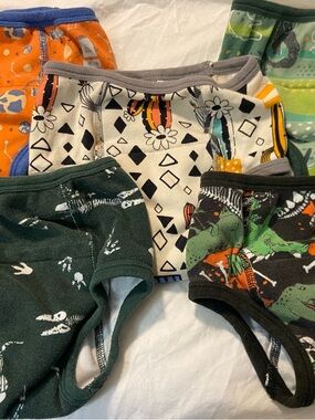 MooMoo baby boys 4T training cotton underwear dinosaurs 5 pair
